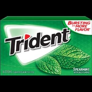 Meet your Posher, Dylan